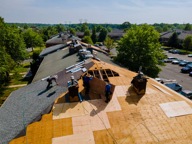 Best Storm Damage Roof Repair  in Van Meter, IA