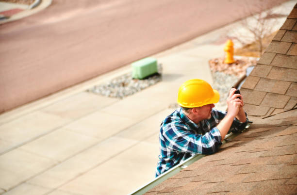 Best Roof Gutter Cleaning  in Van Meter, IA