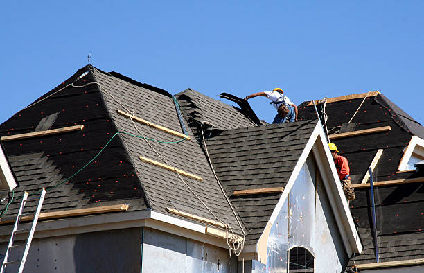 Best Metal Roofing Contractor  in Van Meter, IA