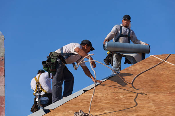 Best Best Roofing Contractors  in Van Meter, IA