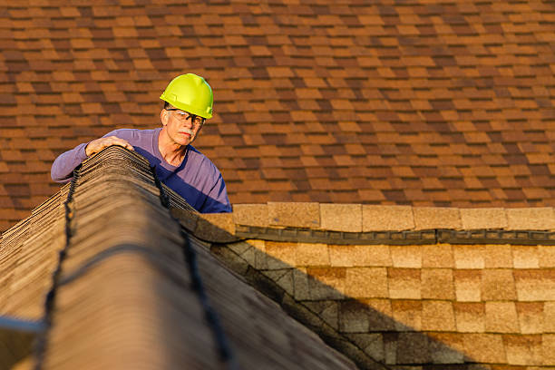 Best Roof Leak Repair  in Van Meter, IA