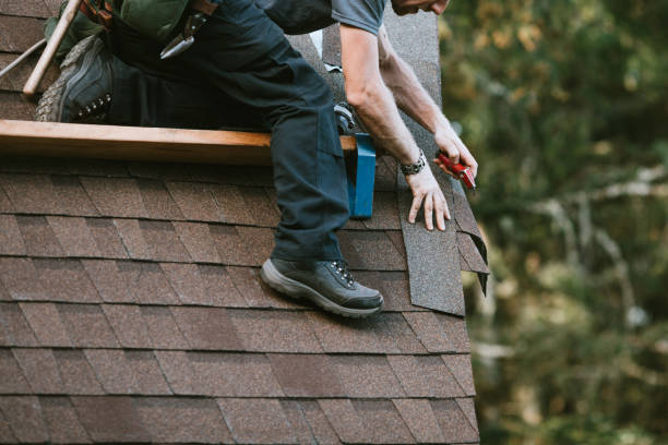 Professional Roofing Contractor in Van Meter, IA