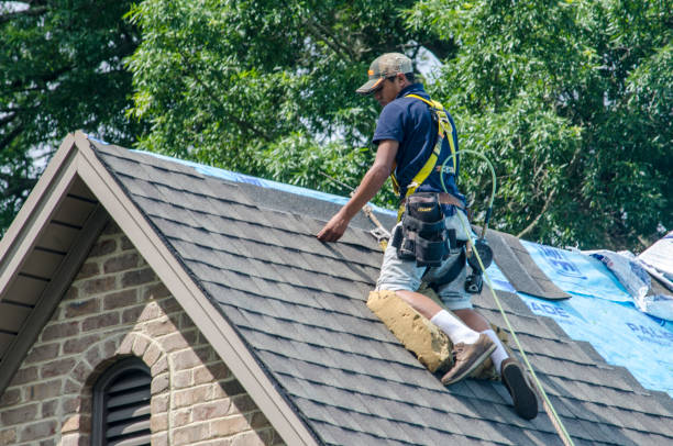 Best New Roof Installation  in Van Meter, IA
